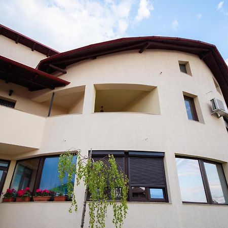 Râmnicu Vâlcea Casa Avramヴィラ エクステリア 写真