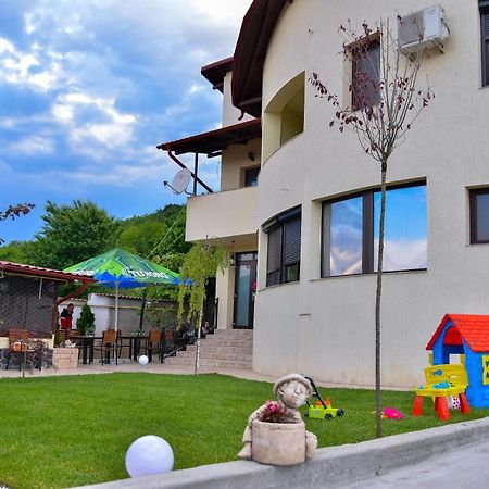 Râmnicu Vâlcea Casa Avramヴィラ エクステリア 写真