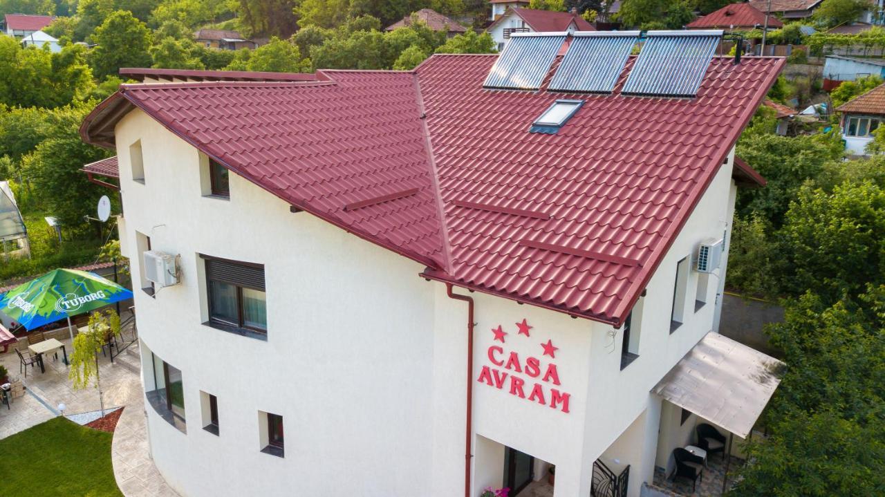 Râmnicu Vâlcea Casa Avramヴィラ エクステリア 写真
