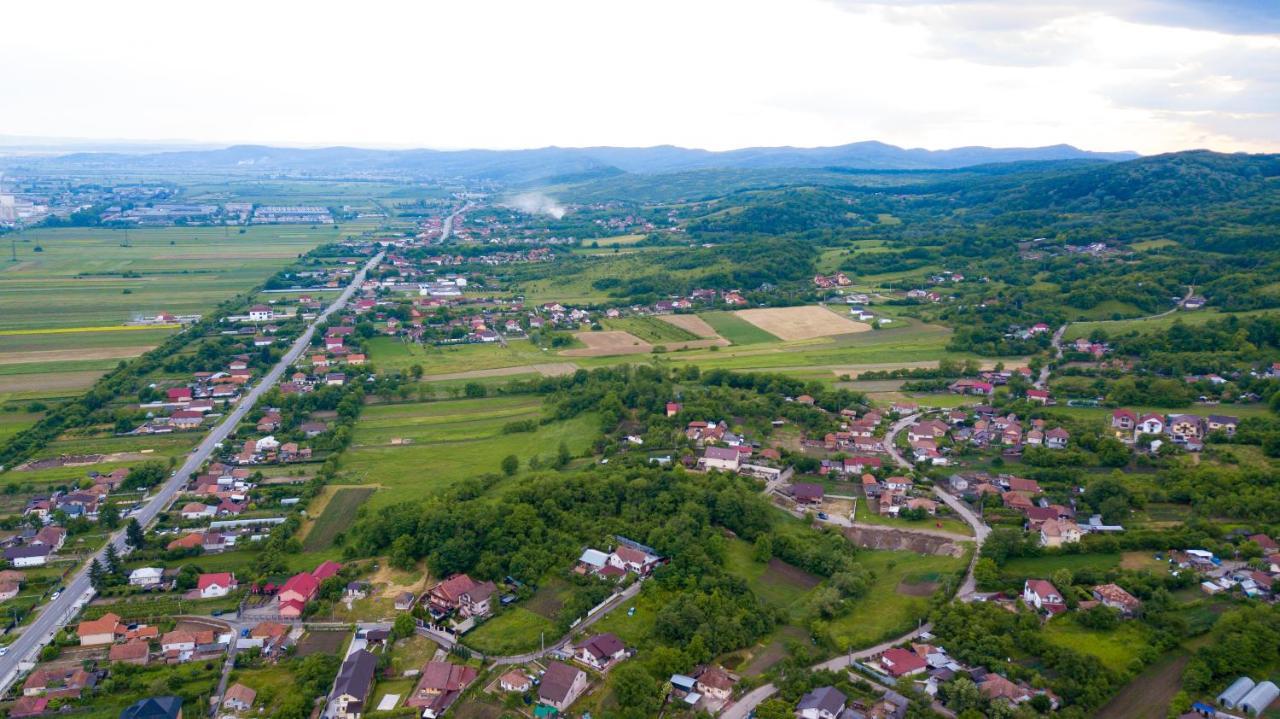 Râmnicu Vâlcea Casa Avramヴィラ エクステリア 写真