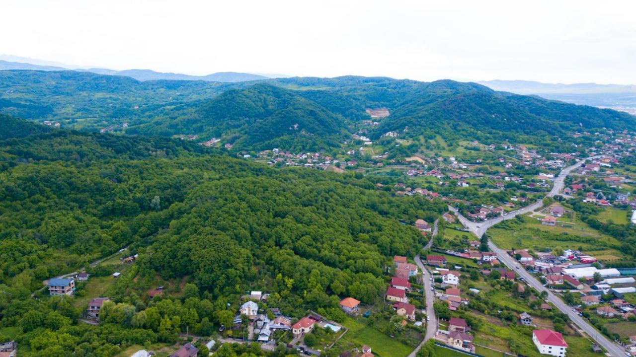 Râmnicu Vâlcea Casa Avramヴィラ エクステリア 写真