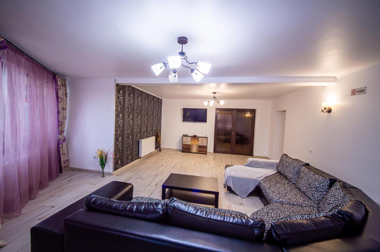 Râmnicu Vâlcea Casa Avramヴィラ エクステリア 写真