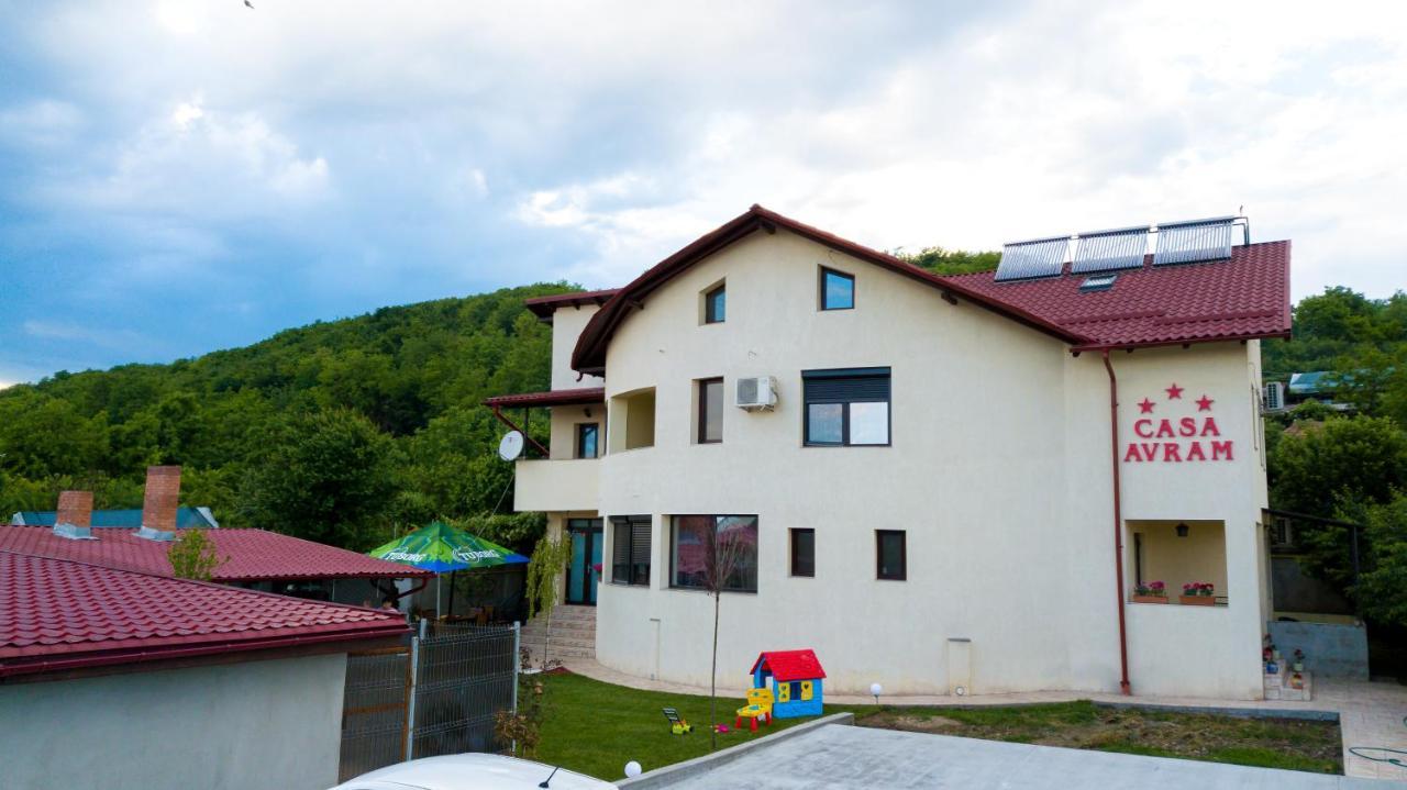 Râmnicu Vâlcea Casa Avramヴィラ エクステリア 写真