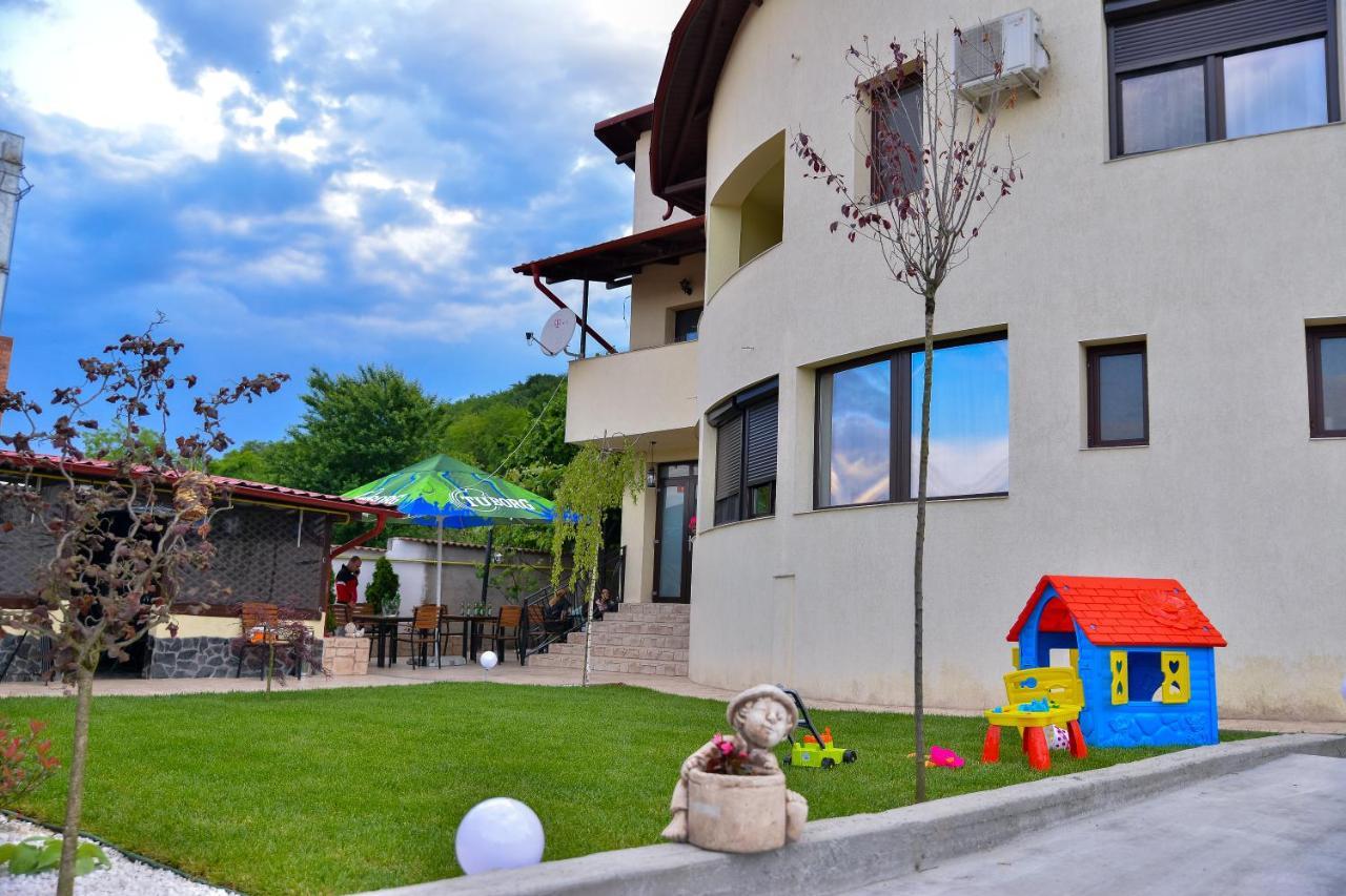 Râmnicu Vâlcea Casa Avramヴィラ エクステリア 写真